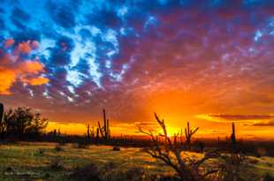 Sunset near Picacho Peak-6232.jpg